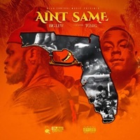 Ain't the Same (feat. Tom G) - Single - Big Lew
