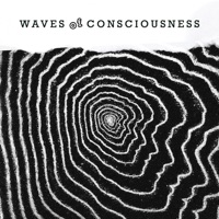 Waves of Consciousness - Single - Nayfe & Petrovich