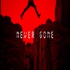 Never Gone (Instrumental) - Single