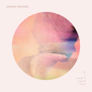 Shawn Mendes - If I Can't Have You - 排舞 音乐