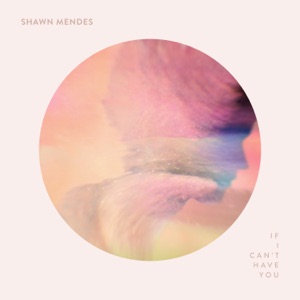 Shawn Mendes - If I Can't Have You - Line Dance Chorégraphe