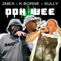 Oohwee (feat. 2mex & K. Borne) - Single - Sully