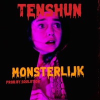 Monsterlijk - Single - Soulution & Tenshun