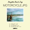 Slaughter Beach, Dog - Your Cat