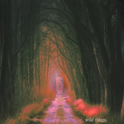 Wild Things - Single