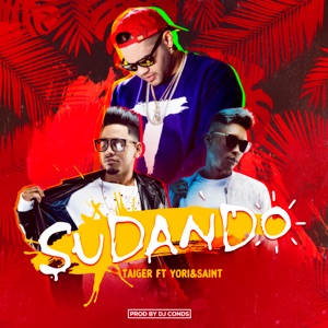 Sudando (feat. Yori & Saint) - Single