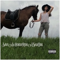 Saveahorserideasadgirl - Single - Ashes