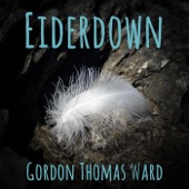 Eric Troyer;Gordon Thomas Ward - Satellites (feat. Eric Troyer)