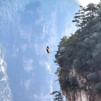 Wifi In My Cabin - Single - swimcoach