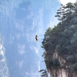 Wifi In My Cabin swimcoach