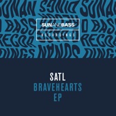 Bravehearts (feat. Dan Stezo) artwork