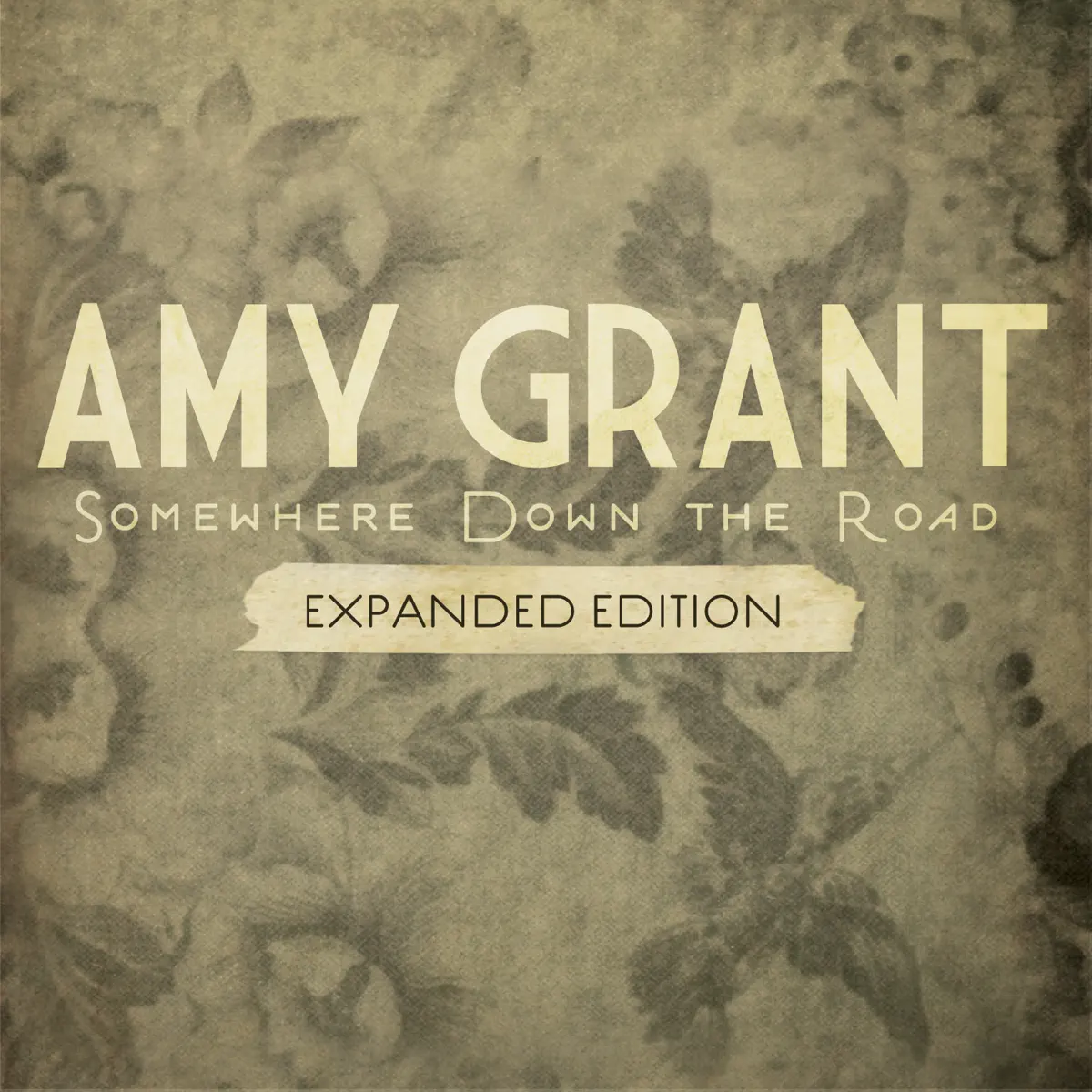 Amy Grant - Somewhere Down The Road (Expanded Edition) (2011) [iTunes Plus AAC M4A]-新房子