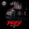 Prey (feat. ButchEr & Intrinzik) - Snap lyrics