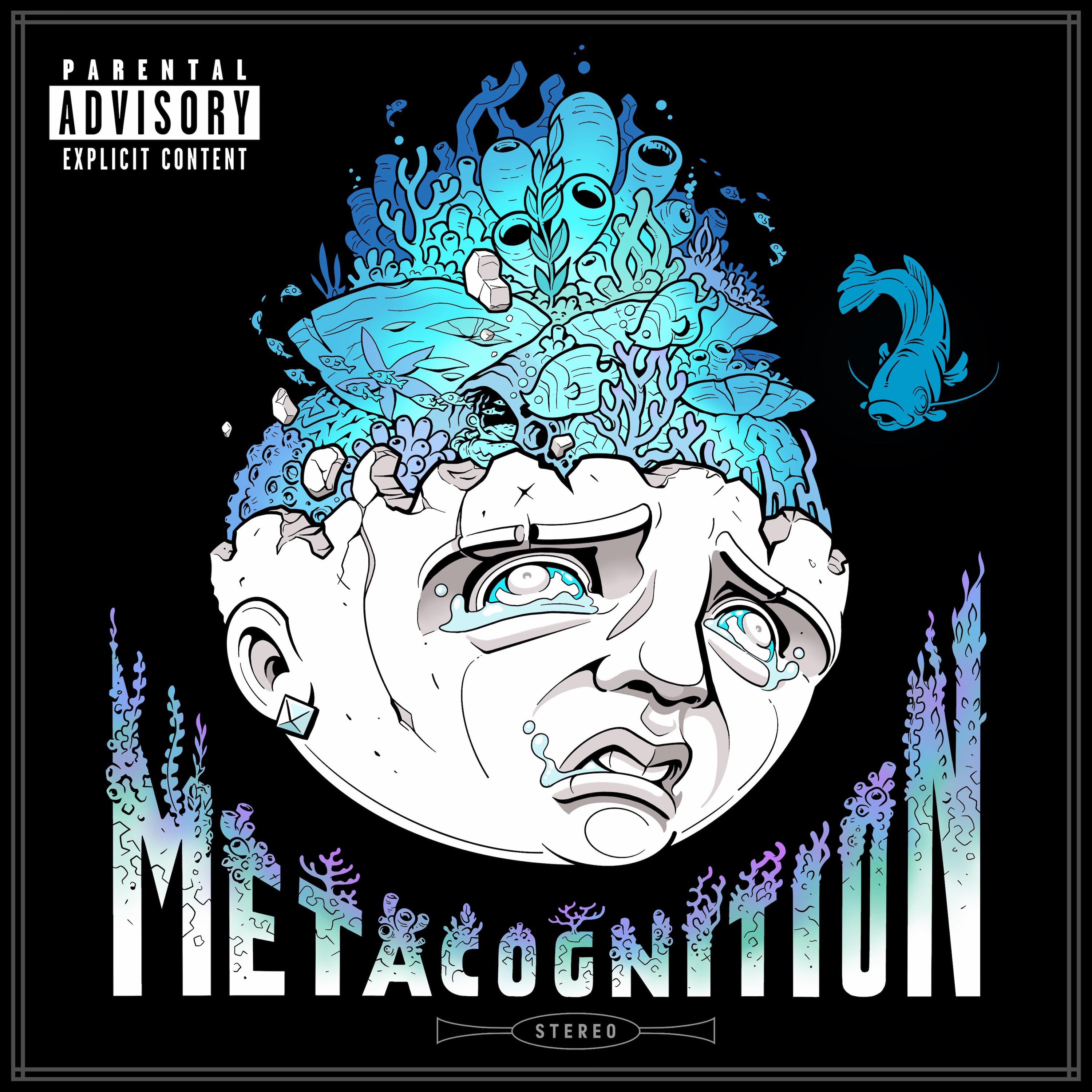 Metacognition