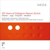 25 Years of Collegium Novum Zürich (Live) artwork