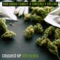Crushed up 420 Remix - Odd Squad Family & Sincerely Collins lyrics