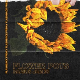 Flower Pots Darius James