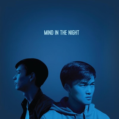 Mind in the Night (feat. MilesMoch) - Single