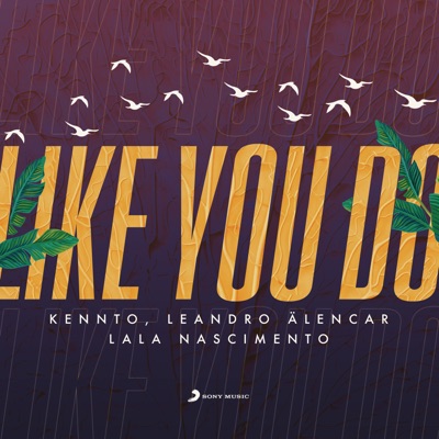 Like You Do - Single