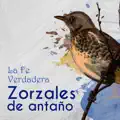 NOCHE DE RONDA