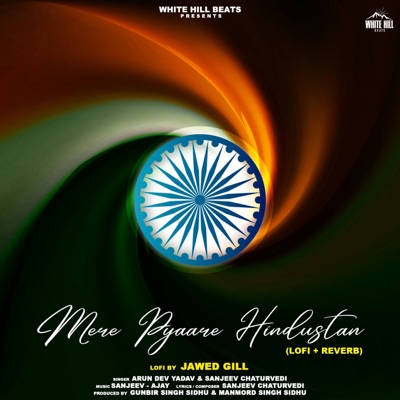 Mere Pyaare Hindustan (Lofi Version) - Single