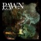 No End in Sight - Pawn lyrics