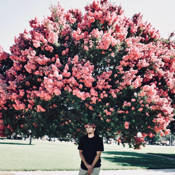 Cover artwork for Someone