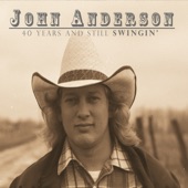 John Anderson - Would You Catch a Fallen Star (Re-Recorded)