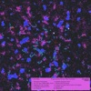 Christlike - Ignition Sequence Start