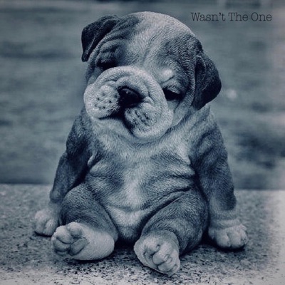 Wasn't the One - Single