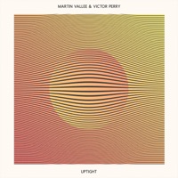 Uptight (feat. Victor Perry) - Single - Martin Vallée