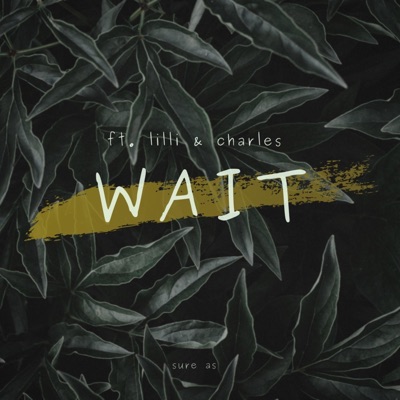 Wait (feat. Lilli & Charles) - Single