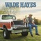 She Made It Look Easy - Wade Hayes lyrics