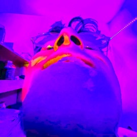 Top or Bottom (feat. Founders) Dretty Pope