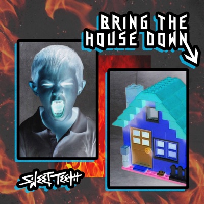 Bring the House Down - Single