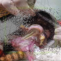 Hedonia - Single - Abssys