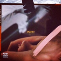 Destiny - Single - THEVNKNOWN