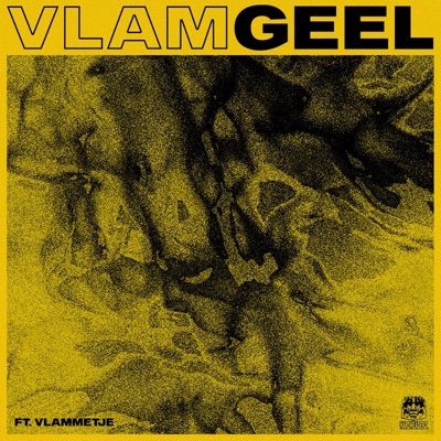 Vlamgeel (with GEEL) [feat. Vlammetje] - Single