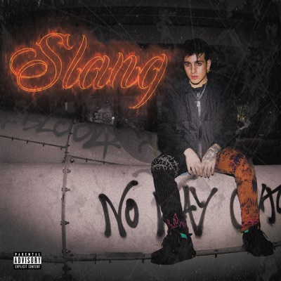 Slang - Single