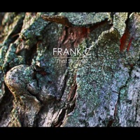 That Summer - Single - Frank C