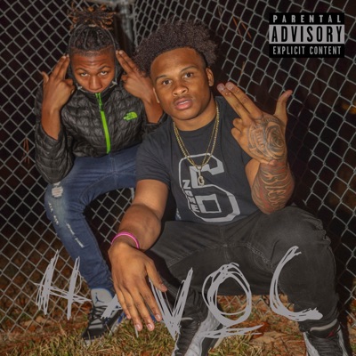 Havoc (feat. Fne Rasta) - Single