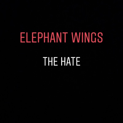 The Hate (feat. Eric Biddines & Jack Splash) - Single