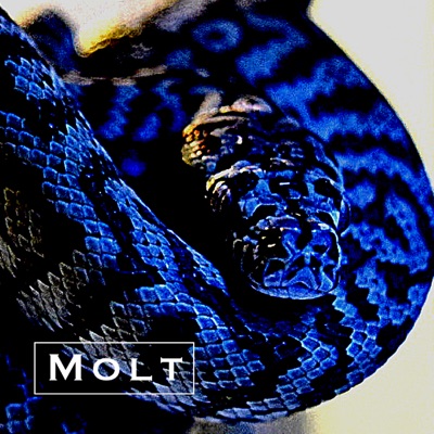 Molt - Single