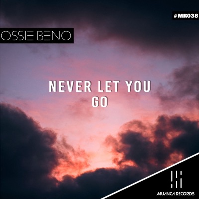 Never Let You Go - Single