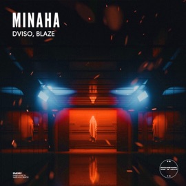Minaha D-Viso & Blaze