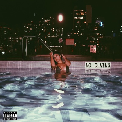 No Diving - Single
