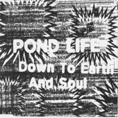 Pond Life Down to Earth and Soul - EP - Pondlife