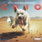 Cujo - Drew Diamond lyrics