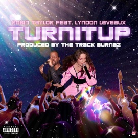 Turn It Up (feat. Lyndon Laveaux) Robin Taylor