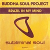 Brazil in My Mind - Single